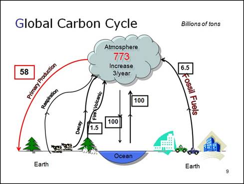 diagrams for kids. +cycle+diagram+for+kids